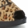 Shoes Women Heels Paco Gil DRIST Leopard / Black
