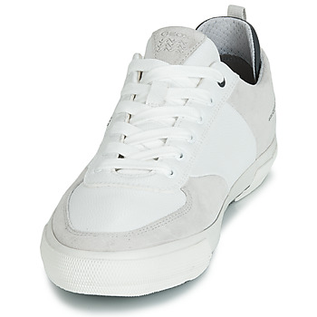 Geox KAVEN A White