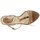 Shoes Women Sandals Etro 3443 Brown
