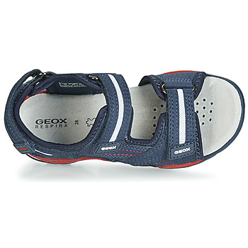 Geox BOREALIS Blue / Red