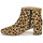 Shoes Women Ankle boots Clarks SHEER FLORA Leopard