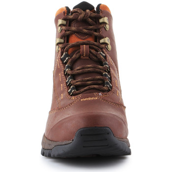 Ariat Berwick lace GTX Insulated 10016298 Brown