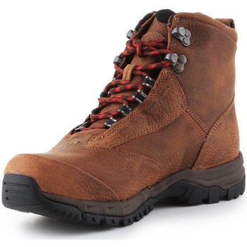 Ariat Trekking shoes  Berwick Lace Gtx Insulated 10016229 Brown