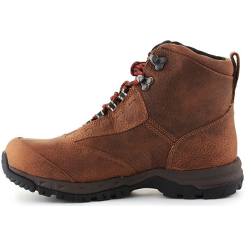 Ariat Trekking shoes  Berwick Lace Gtx Insulated 10016229 Brown