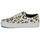 Shoes Women Low top trainers Superdry CLASSIC LACE UP TRAINER Leopard