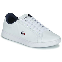 Shoes Women Low top trainers Lacoste CARNABY EVO TRI 1 SFA White / Marine / Red