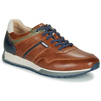 Shoes Men Low top trainers Pikolinos CAMBIL M5N Brown / Marine
