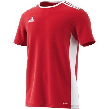 Clothing Men Short-sleeved t-shirts adidas Originals Entrada 18 Red, White