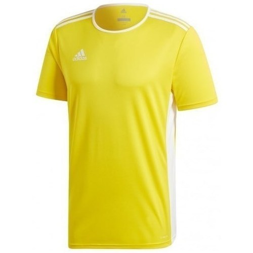 Clothing Men Short-sleeved t-shirts adidas Originals Entrada 18 Jsy Yellow
