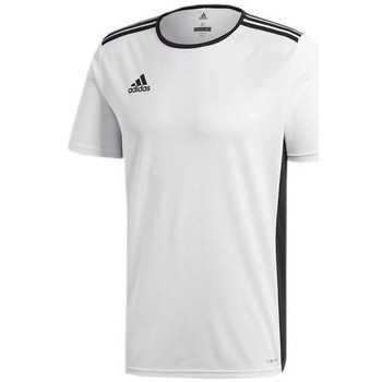 Clothing Men Short-sleeved t-shirts adidas Originals Entrada 18 Junior White