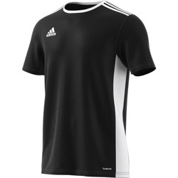 Clothing Men Short-sleeved t-shirts adidas Originals Entrada 18 Black, White