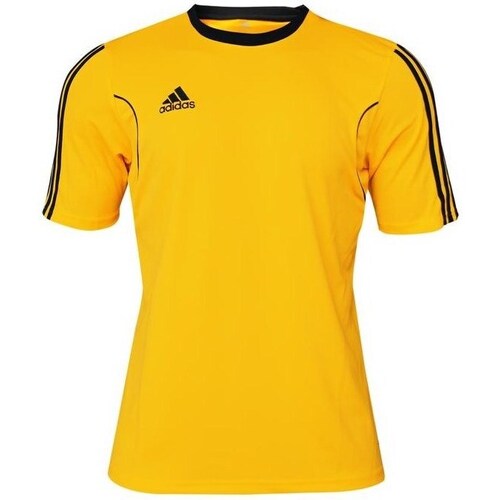 Clothing Men Short-sleeved t-shirts adidas Originals Squad 17 Jsy SS Yellow