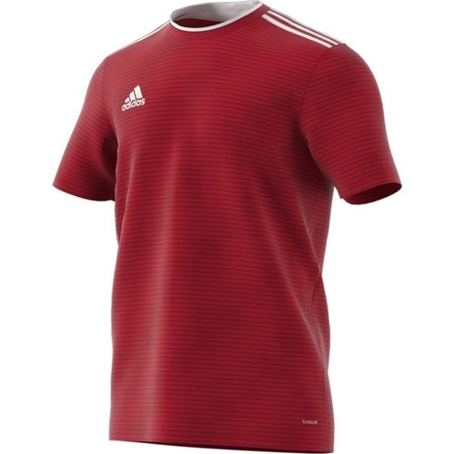 Clothing Men Short-sleeved t-shirts adidas Originals Condivo 18 Red