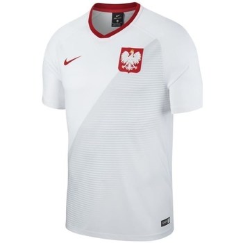 Clothing Men Short-sleeved t-shirts Nike WC 2018 Home Breathe Top White, Grey