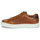 Shoes Men Low top trainers Schmoove SPARK-CLAY Brown
