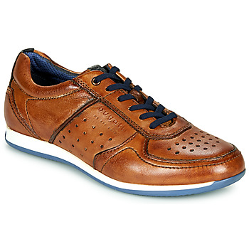 Shoes Men Low top trainers Bugatti TOMEO Brown