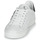 Shoes Men Low top trainers Roberto Cavalli 1005 White / Black