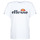 Clothing Women Short-sleeved t-shirts Ellesse ALBANY White
