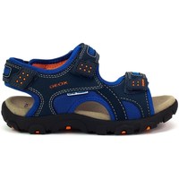 Shoes Boy Sandals Geox JR Strada Navy blue