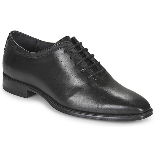 Shoes Men Brogues Carlington MINEA Black