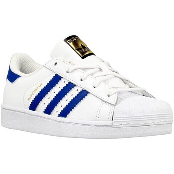 Shoes Children Low top trainers adidas Originals Superstar White, Blue