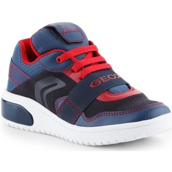 Shoes Children Low top trainers Geox JR Xled Boy Navy blue