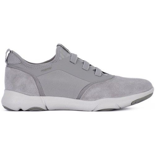 Shoes Men Low top trainers Geox Nebula Grey
