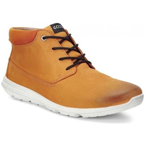 Shoes Men Hi top trainers Ecco Sneaker Calgary Mid Orange