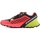 Shoes Women Running shoes Dynafit Alpine Pro W Graphite, Celadon, Pink