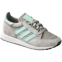 Shoes Women Low top trainers adidas Originals Forest Grove W Grey