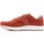 Shoes Men Low top trainers Saucony Freedom Runner Brown