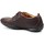 Shoes Men Low top trainers Timberland Palladian Brown