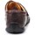Shoes Men Low top trainers Timberland Palladian Brown