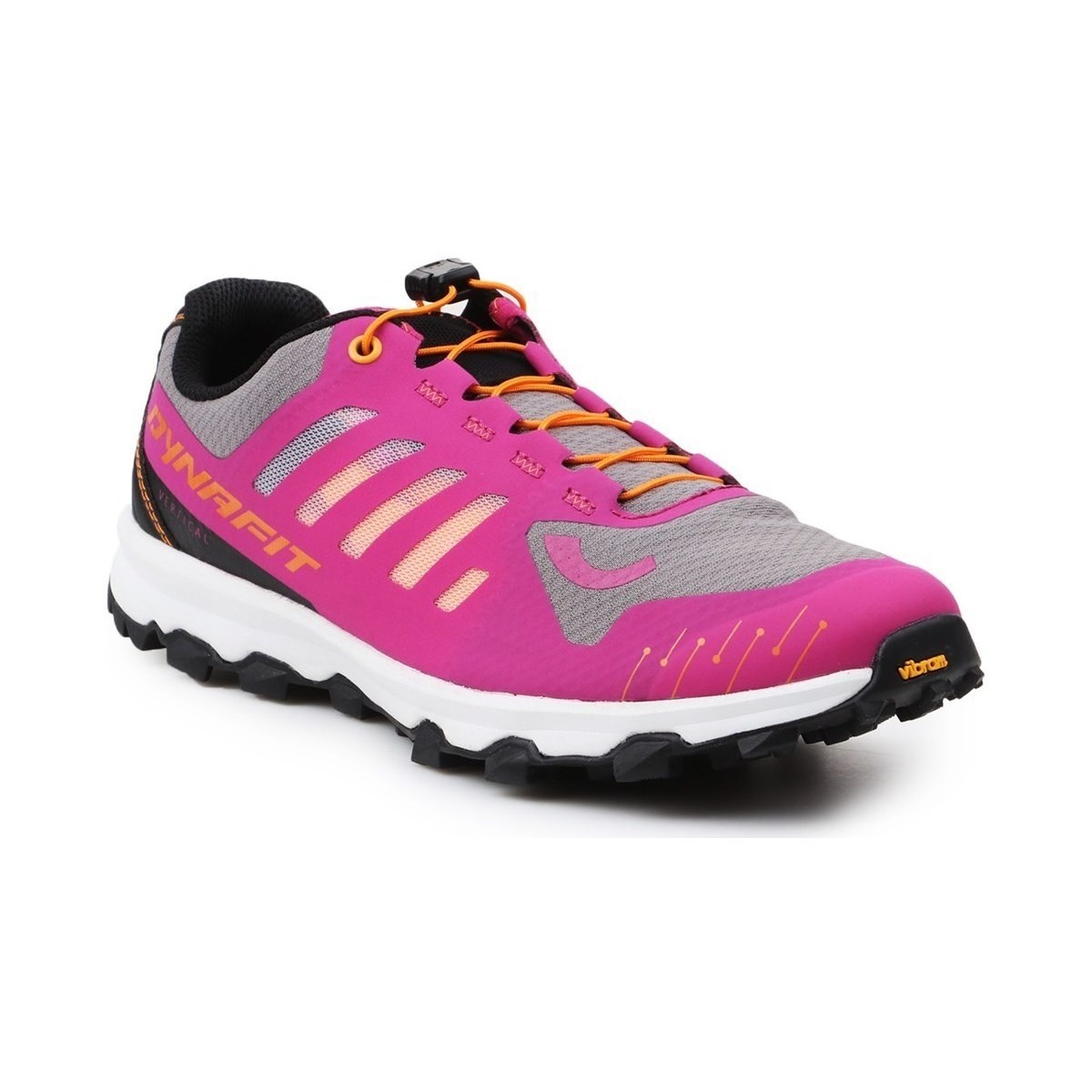 Shoes Women Low top trainers Dynafit WS Feline Vertical Grey, Pink