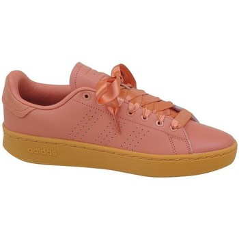 Shoes Women Low top trainers adidas Originals Advantage Bold Honey, Pink