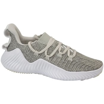 Shoes Women Low top trainers adidas Originals Alphabounce Trainer Grey