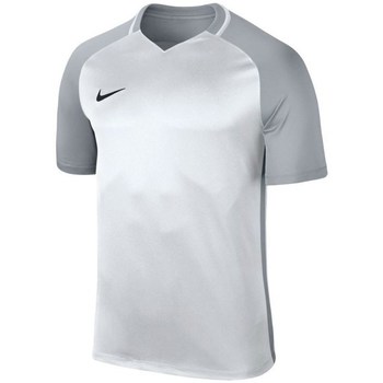 Clothing Boy Short-sleeved t-shirts Nike JR Dry Trophy Iii Jersey Grey, Silver