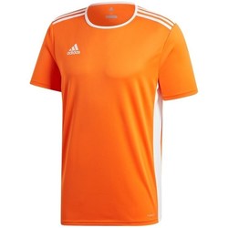 Clothing Men Short-sleeved t-shirts adidas Originals Entrada 18 Orange