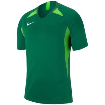 Clothing Boy Short-sleeved t-shirts Nike JR Legend Green
