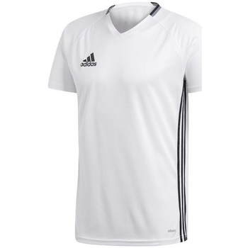 Clothing Men Short-sleeved t-shirts adidas Originals Condivo 16 White