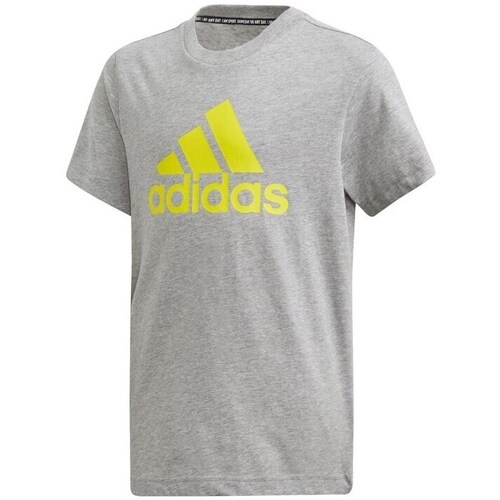 Clothing Boy Short-sleeved t-shirts adidas Originals JR Bos Grey