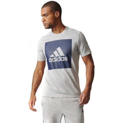 Clothing Men Short-sleeved t-shirts adidas Originals Essentials Box Logo Tee Grey, Navy blue