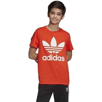 Clothing Boy Short-sleeved t-shirts adidas Originals Trefoil Red