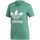 Clothing Women Short-sleeved t-shirts adidas Originals Trefoil Tee Green