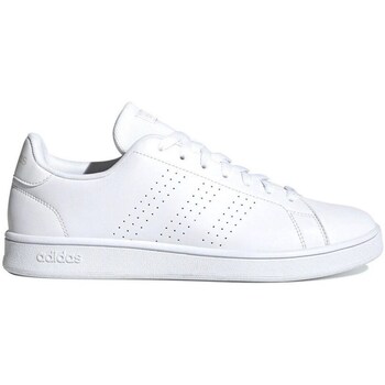 Shoes Men Low top trainers adidas Originals Advantage Base White