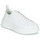 Shoes Women Low top trainers Armani Exchange PROMNA White