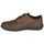 Shoes Men Low top trainers Timberland CROSS MARK PT OXFORD Brown