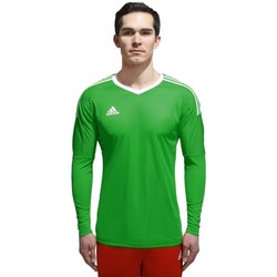 Clothing Men Long sleeved tee-shirts adidas Originals Z Adizero Goalkeeper Green