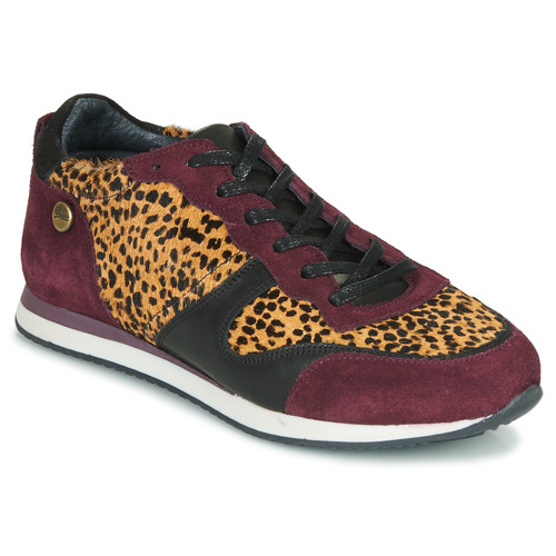 Shoes Women Low top trainers Pataugas IDOL/I F4E Bordeaux / Leopard
