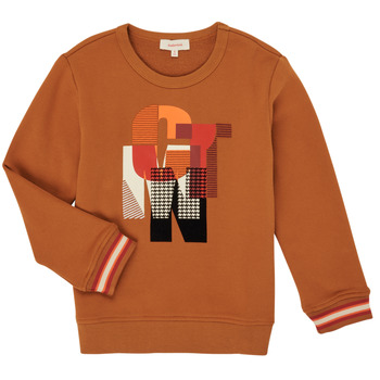 Clothing Boy Sweaters Catimini CR15024-63-J Brown